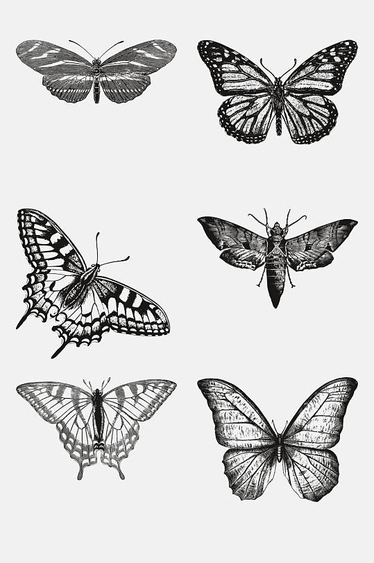 蝴蝶简约动物昆虫素描手绘免抠素材