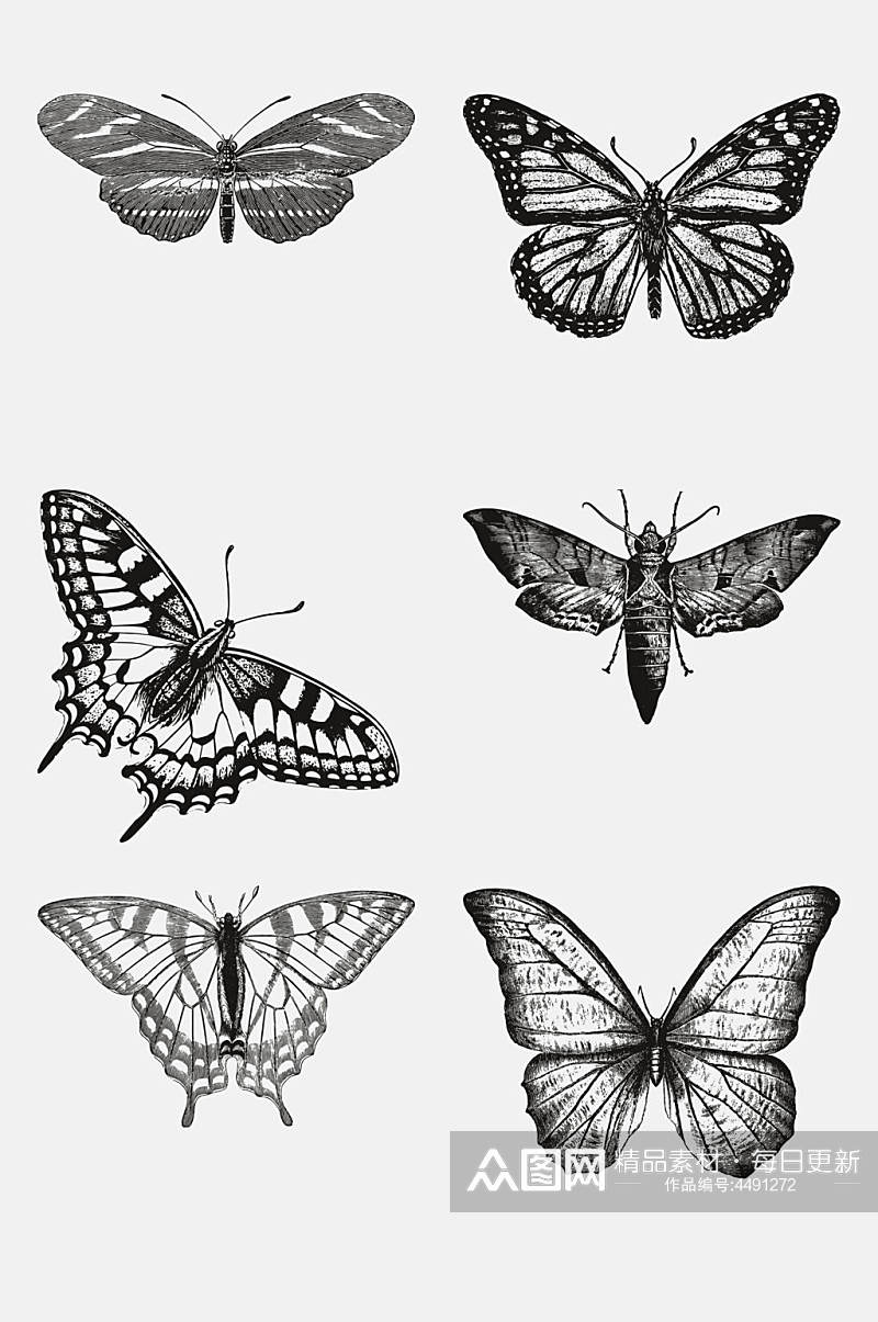 蝴蝶简约动物昆虫素描手绘免抠素材素材