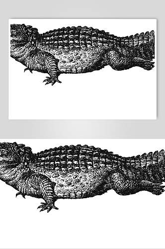 鳄鱼黑色简约动物素描手绘矢量素材