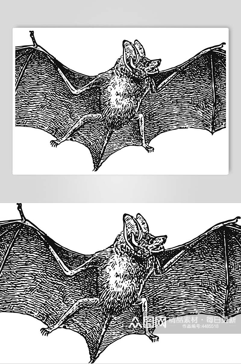 翅膀蝙蝠黑色动物素描手绘矢量素材素材