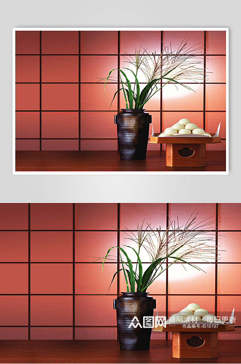 植物盆栽拍摄背景图片素材
