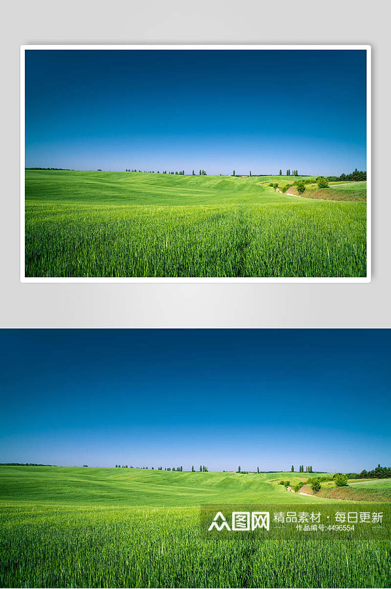 蓝色草原草地风景摄影高清图片素材