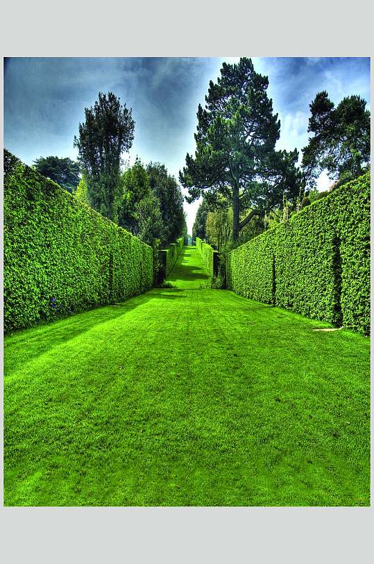 绿草地唯美室内图片