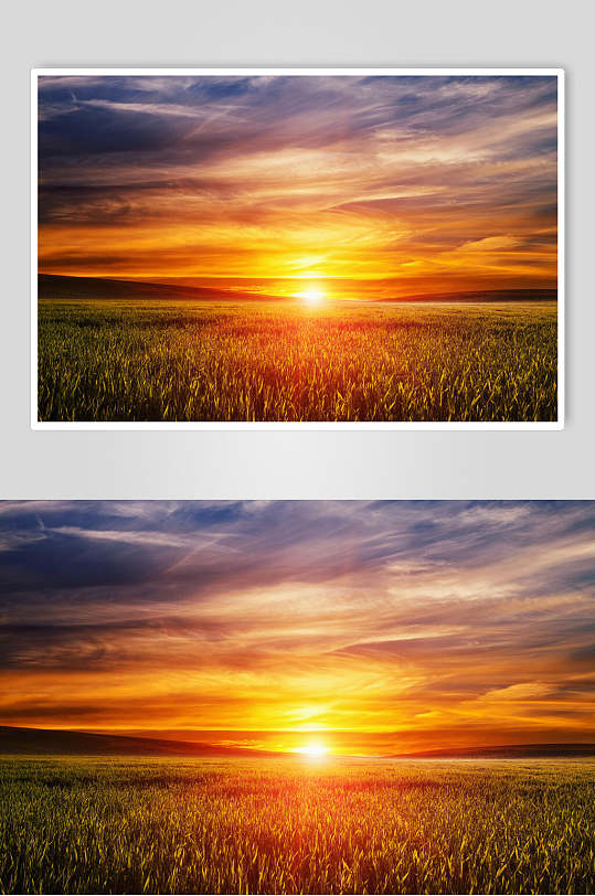 日落草原草地风景摄影图片
