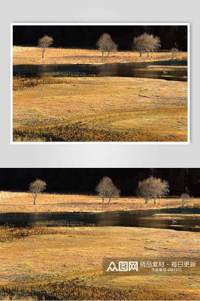 草地黄色大自然风光摄影图素材