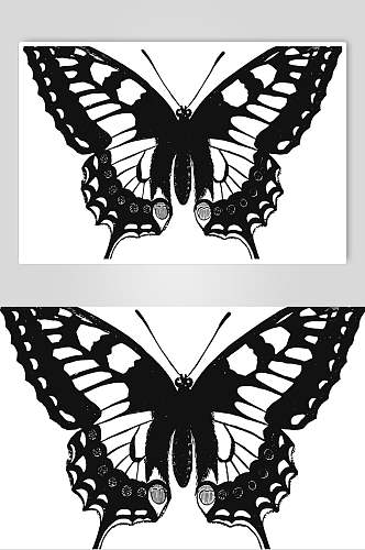 蝴蝶简约黑色动物素描手绘矢量素材