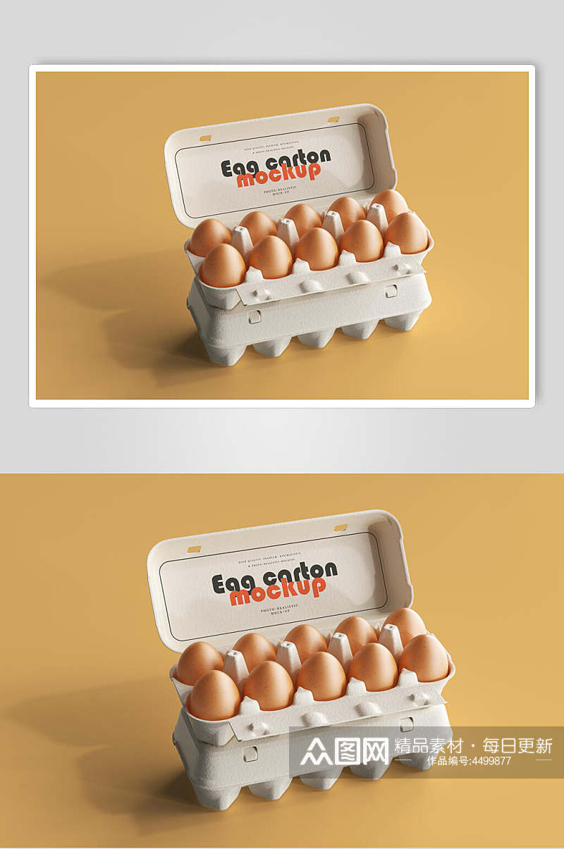 精美鸡蛋纸壳包装样机素材