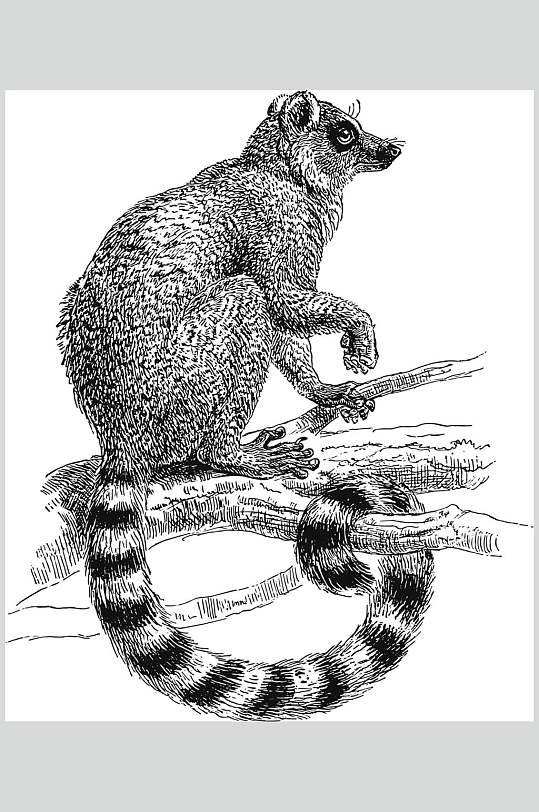 尾巴树枝黑色动物素描手绘矢量素材