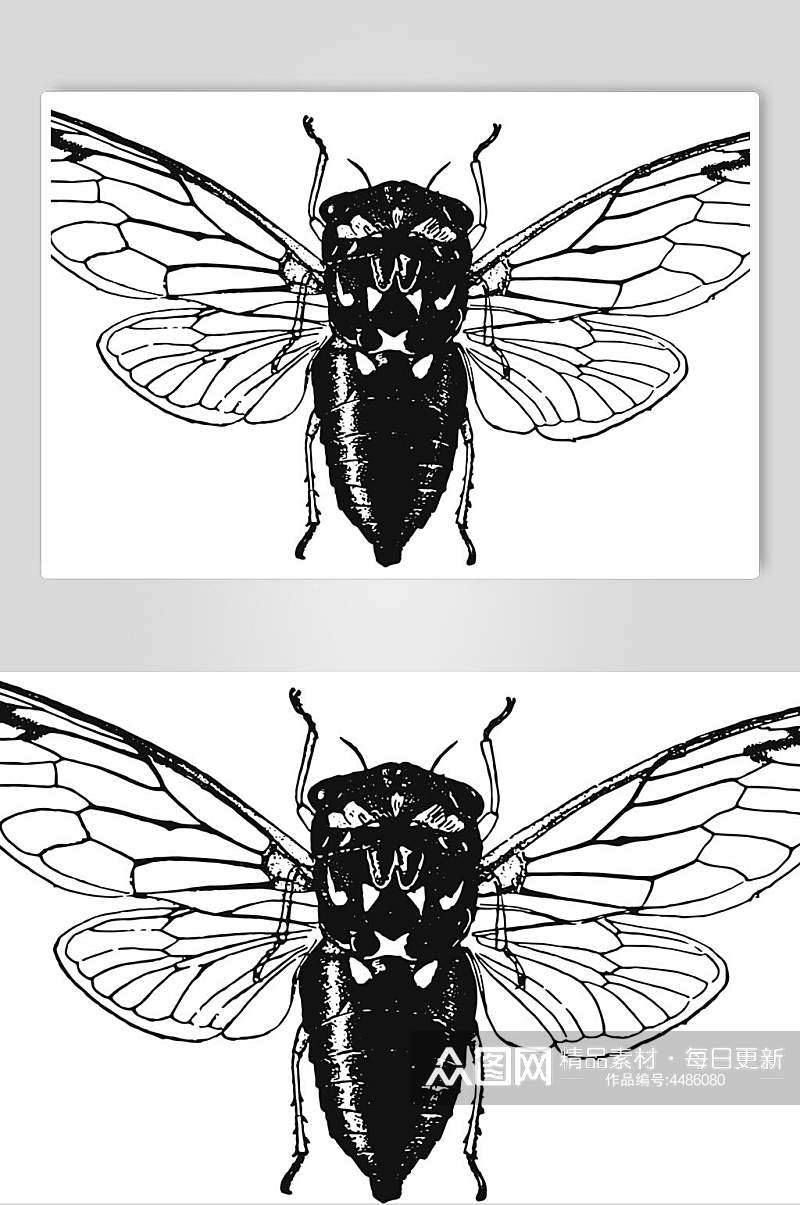翅膀黑色简约动物素描手绘矢量素材素材