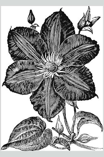 素雅黑色唯美植物花卉手绘矢量素材