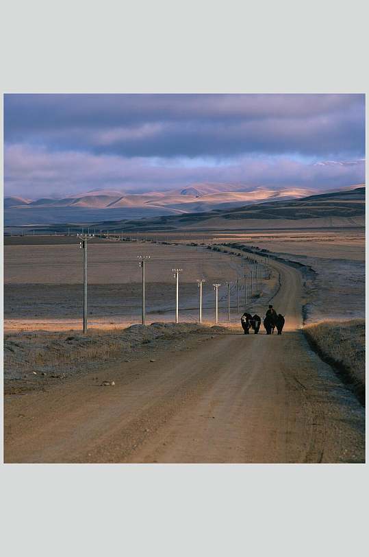 荒漠公路大自然风光摄影图