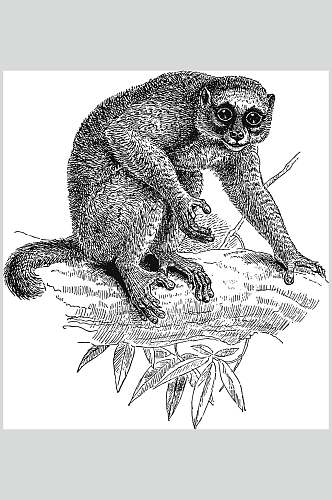 猴子黑色简约动物素描手绘矢量素材