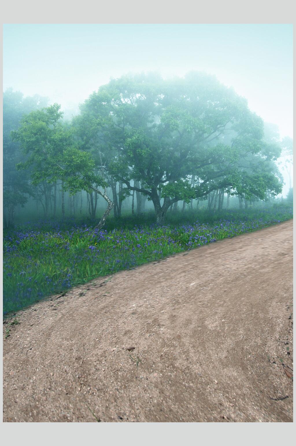 道路大树拍摄背景图片素材