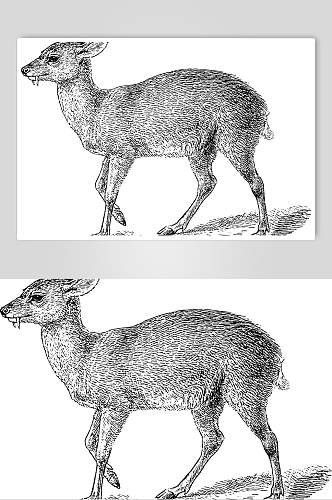 羚羊黑色简约动物素描手绘矢量素材