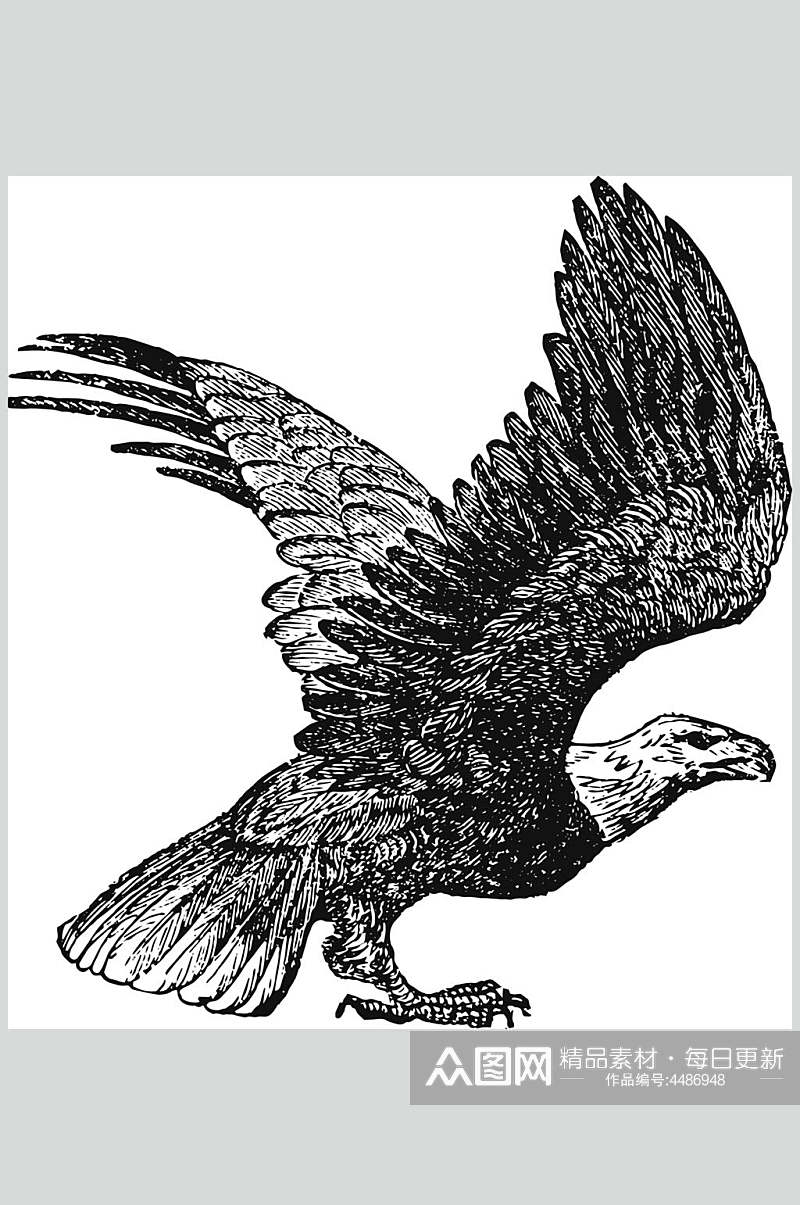 翅膀小鸟黑色动物素描手绘矢量素材素材