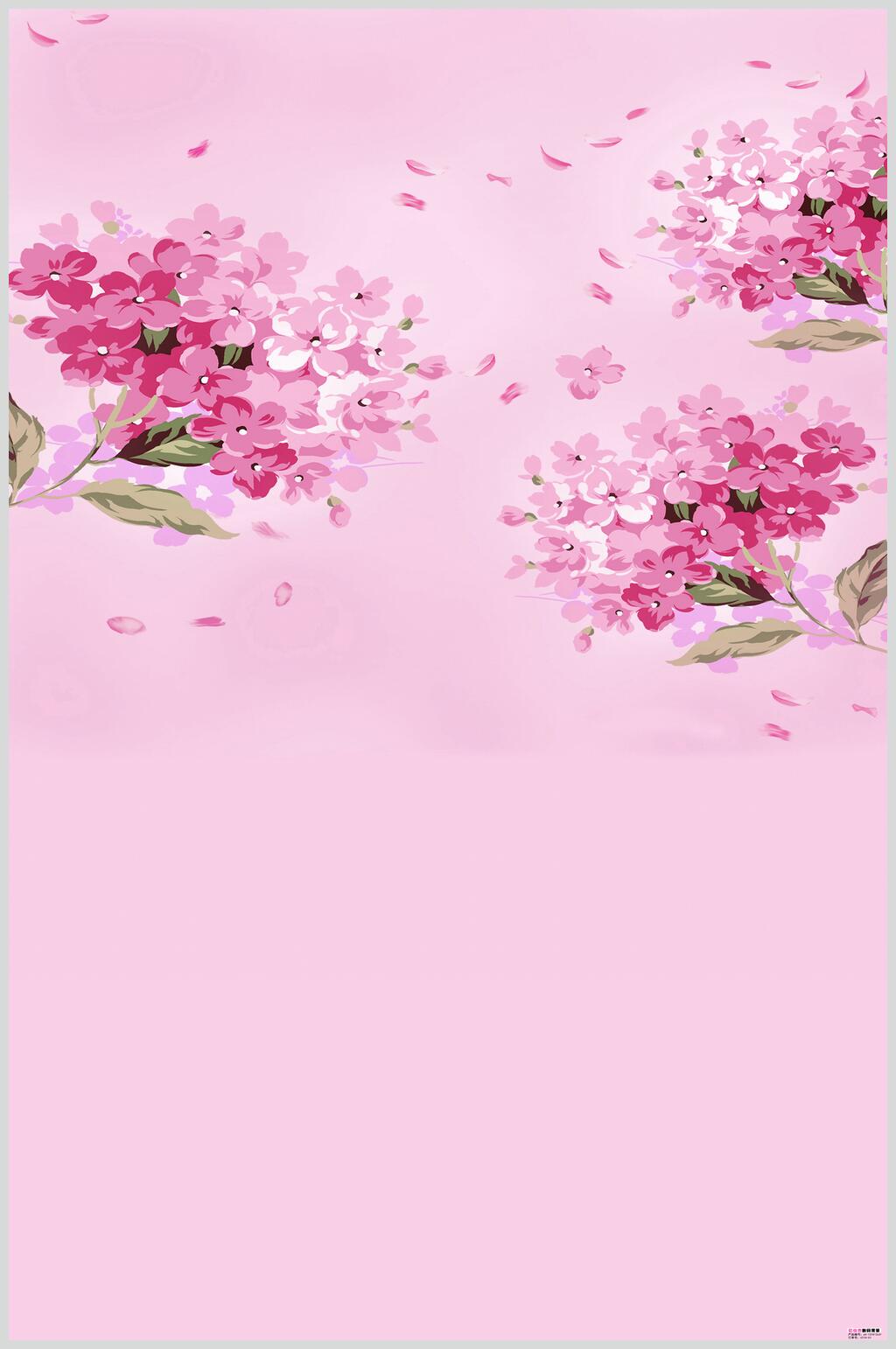 粉色花朵室内花卉图片素材