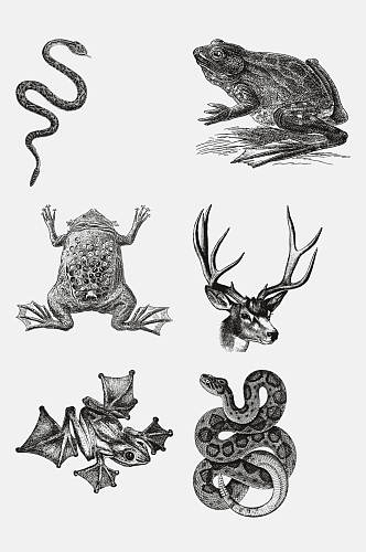 青蛙羚羊动物昆虫素描手绘免抠素材
