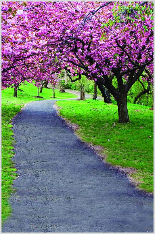 树木花朵草坪绿欧式田园风图片