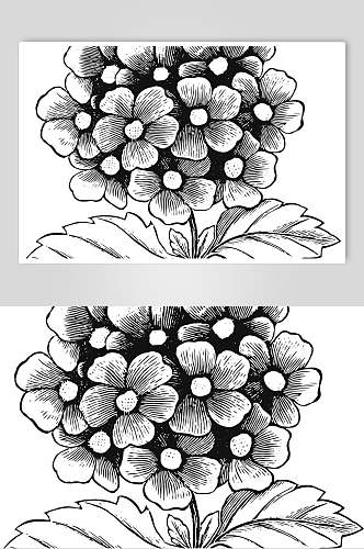 时尚创意简约植物花卉手绘矢量素材