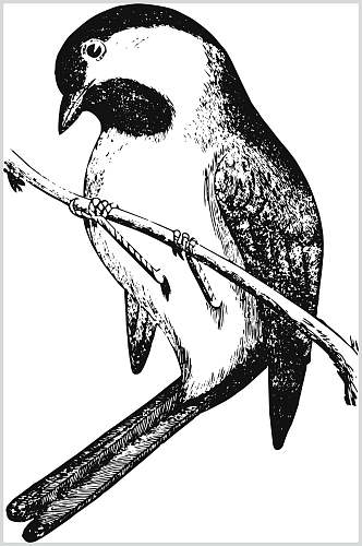小鸟树枝简约动物素描手绘矢量素材