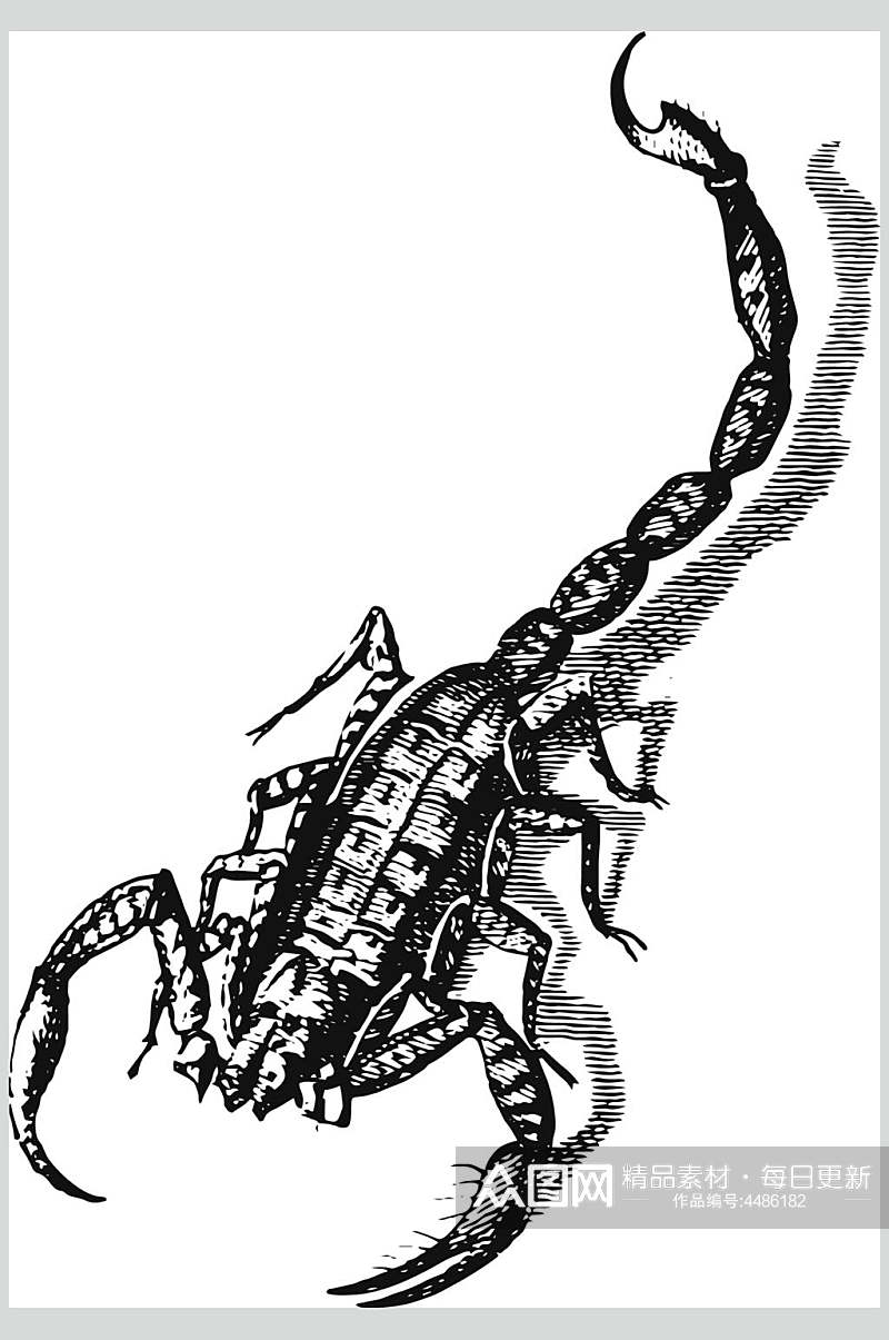 蝎子黑色简约动物素描手绘矢量素材素材