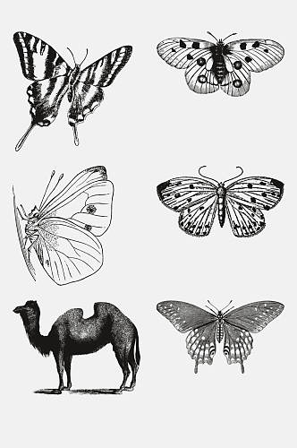 蝴蝶骆驼动物昆虫素描手绘免抠素材