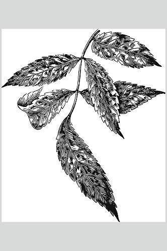 典雅简约黑色植物花卉手绘矢量素材
