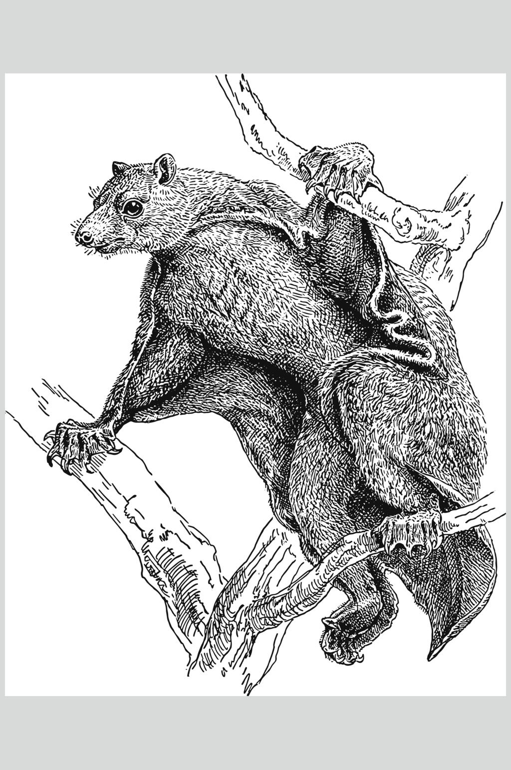 树枝黑色唯美动物素描手绘矢量素材素材