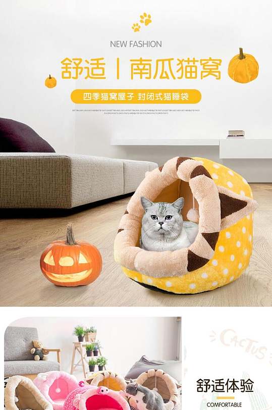 猫南瓜图片 猫南瓜素材下载 众图网