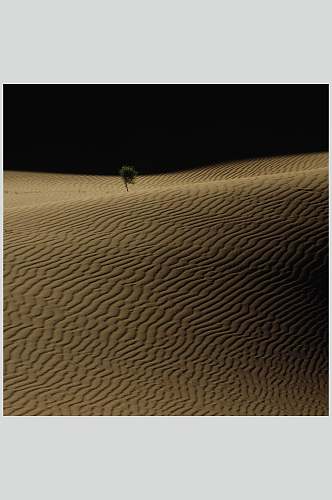 沙漠大自然风光摄影图