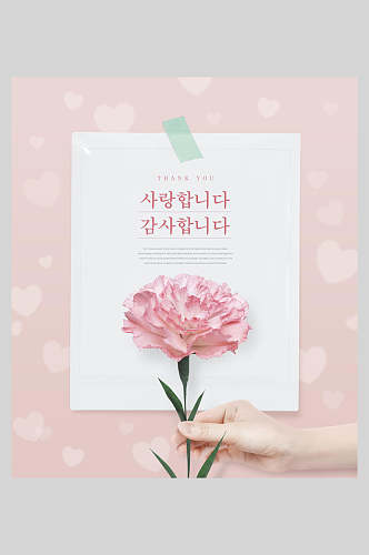 康乃馨粉色母亲节花卉海报