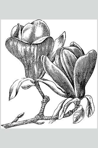 树枝黑色清新植物花卉手绘矢量素材