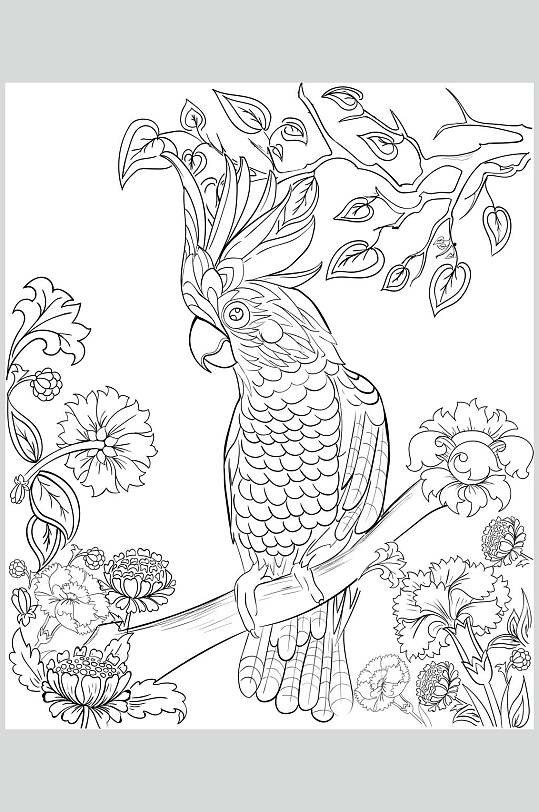 鹦鹉树枝魔法森林动物线稿矢量素材