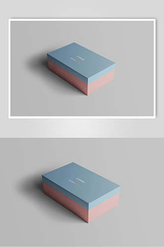 粉蓝简约鞋盒纸盒样机