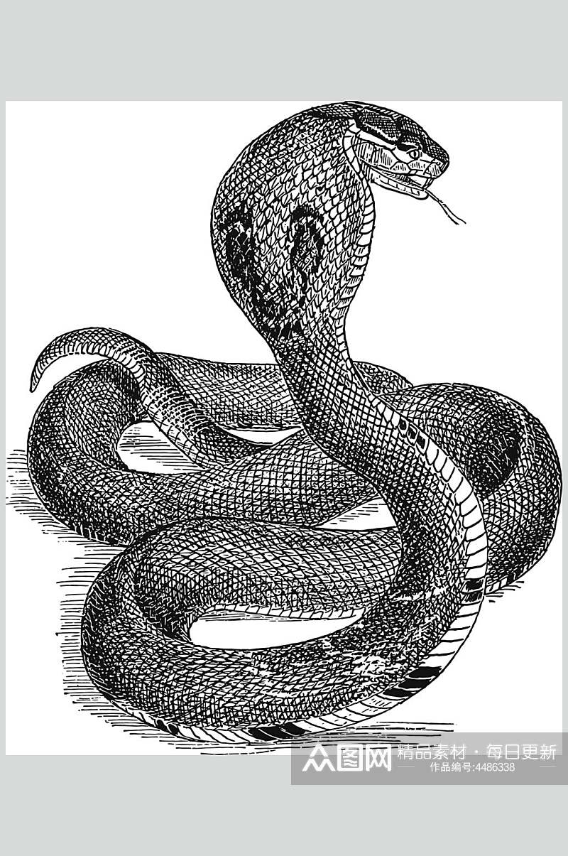 蛇黑色简约风动物素描手绘矢量素材素材