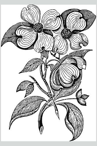 线条叶子黑色植物花卉手绘矢量素材