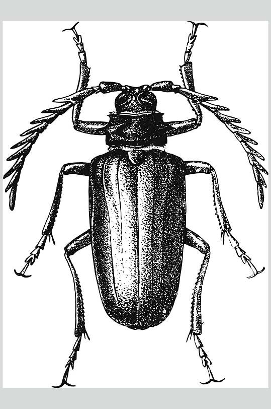 黑色昆虫简约动物素描手绘矢量素材