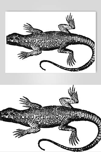 鳄鱼黑色简约动物素描手绘矢量素材