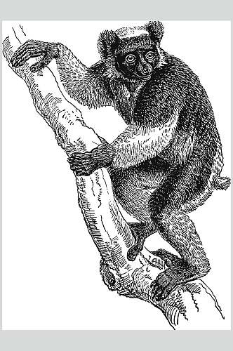树枝黑色猴子动物素描手绘矢量素材