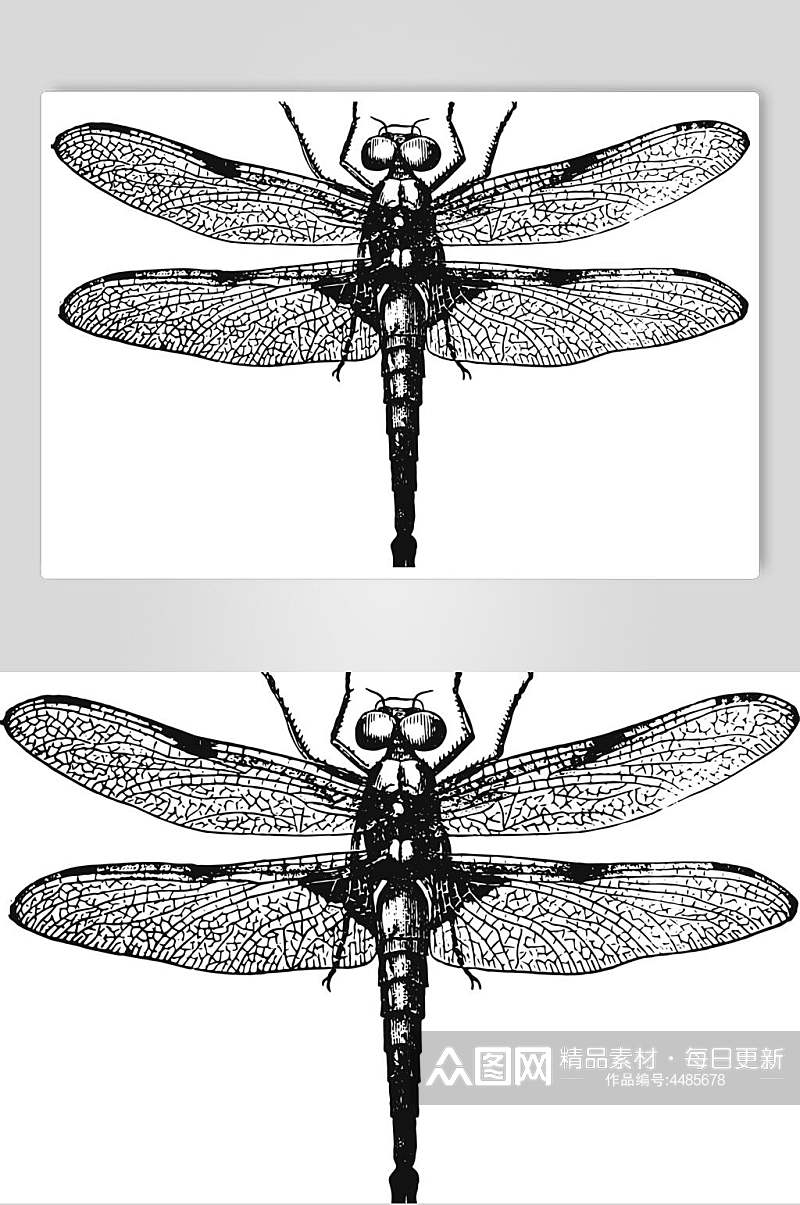 蜻蜓黑色简约动物素描手绘矢量素材素材