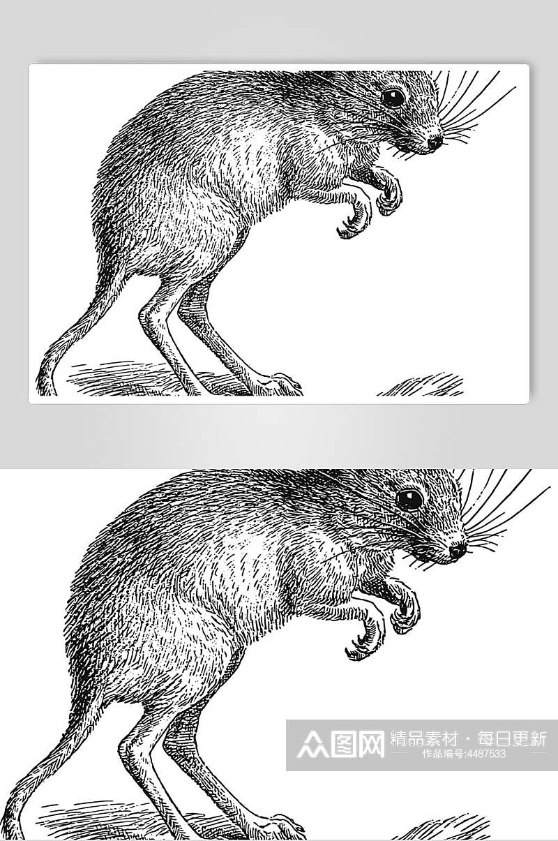 老鼠黑色简约动物素描手绘矢量素材素材