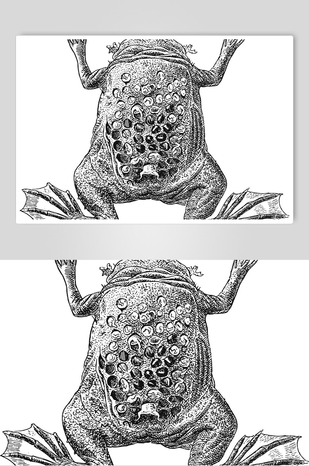 青蛙黑色简约动物素描手绘矢量素材素材