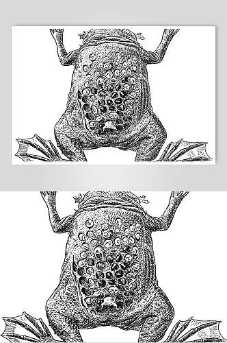 青蛙黑色简约动物素描手绘矢量素材