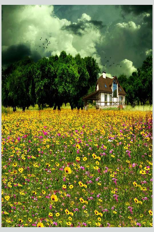 蓝色清新花草展板背景蓝色清新花草展板背景立即下载红色唯美花朵名片