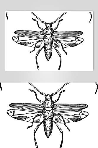 昆虫黑色简约动物素描手绘矢量素材