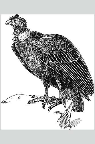 翅膀石头黑色动物素描手绘矢量素材