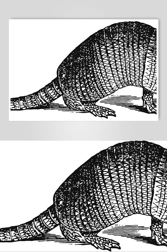 线条尾巴黑色动物素描手绘矢量素材