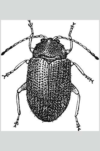 昆虫黑色简约动物素描手绘矢量素材
