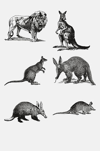 袋鼠黑色动物昆虫素描手绘免抠素材