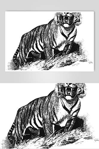 黑色线条老虎动物素描手绘矢量素材